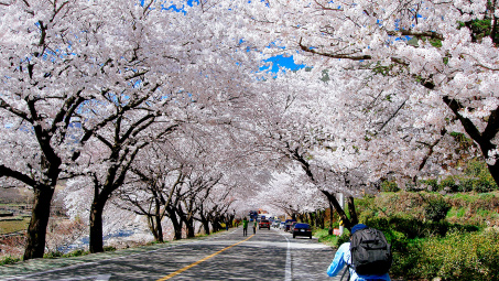 Tạm biệt 10, 11, 12